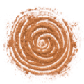 Cinnamon pastry roll icon - cinnamon swirl